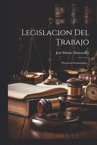 bokomslag Legislacion Del Trabajo