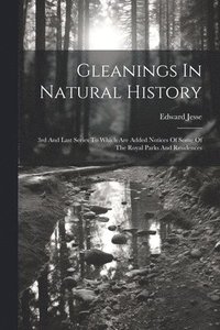 bokomslag Gleanings In Natural History
