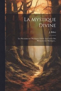 bokomslag Mystique Divine