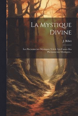 bokomslag Mystique Divine