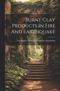 bokomslag Burnt Clay Products In Fire And Earthquake