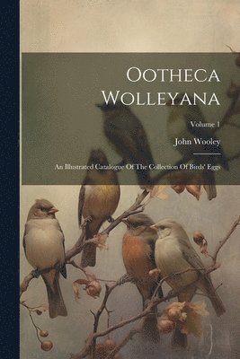 bokomslag Ootheca Wolleyana