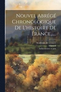 bokomslag Nouvel Abrg Chronologique De L'histoire De France......