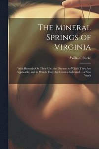 bokomslag Mineral Springs of Virginia