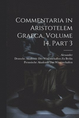 bokomslag Commentaria in Aristotelem Graeca, Volume 14, part 3