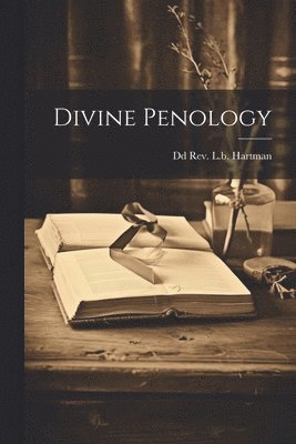 bokomslag Divine Penology