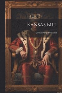 bokomslag Kansas Bill