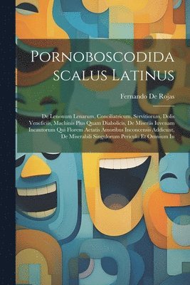 bokomslag Pornoboscodidascalus Latinus