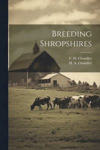 bokomslag Breeding Shropshires