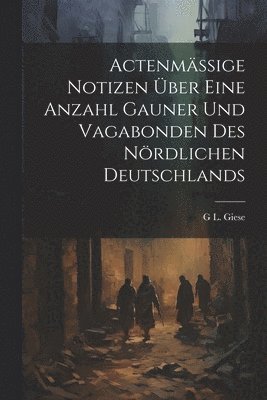 bokomslag Actenmssige Notizen ber eine Anzahl Gauner und Vagabonden des nrdlichen Deutschlands