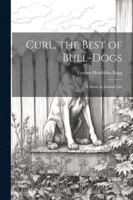 Curl, the Best of Bull-Dogs