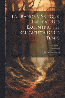Alexandre Erdan - France Mystique, Tableau Des Excentricités Religieuses De Ce Temps; Volume 2, Häftad