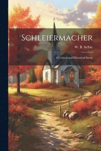 bokomslag Schleiermacher