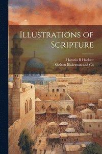 bokomslag Illustrations of Scripture