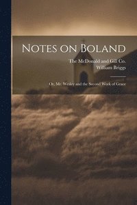 bokomslag Notes on Boland