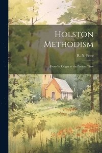 bokomslag Holston Methodism