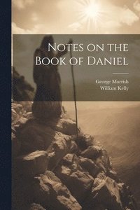 bokomslag Notes on the Book of Daniel