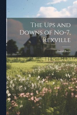 David Boyle - Ups and Downs of No-7, Rexville, Häftad