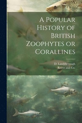 bokomslag A Popular History of British Zoophytes or Corallines