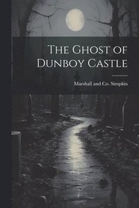 bokomslag The Ghost of Dunboy Castle