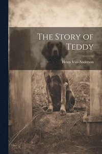 bokomslag The Story of Teddy