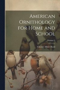 bokomslag American Ornithology for Home and School; Volume 4