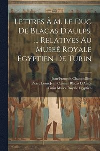 bokomslag Lettres  M. Le Duc De Blacas D'aulps, ... Relatives Au Muse Royale Egyptien De Turin