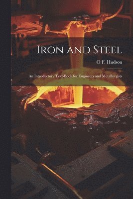 bokomslag Iron and Steel