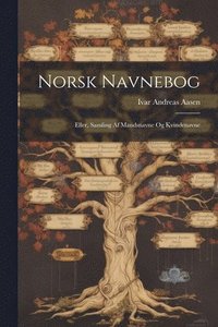 bokomslag Norsk Navnebog; Eller, Samling Af Mandsnavne Og Kvindenavne