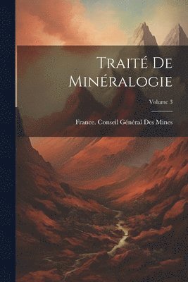 France Conseil Général Des Mines - Traité De Minéralogie; Volume 3, Häftad
