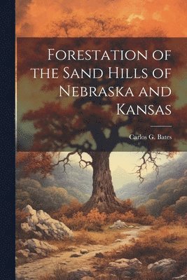 bokomslag Forestation of the Sand Hills of Nebraska and Kansas