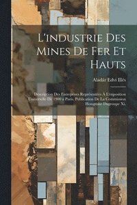 bokomslag L'industrie Des Mines De Fer Et Hauts