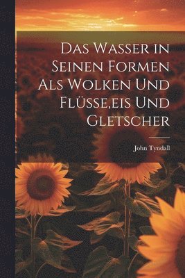 bokomslag Das Wasser in Seinen Formen Als Wolken Und Flsse, eis Und Gletscher