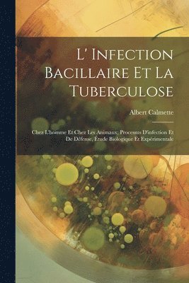 L' Infection Bacillaire Et La Tuberculose 1