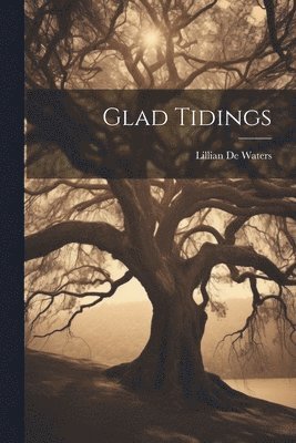 bokomslag Glad Tidings