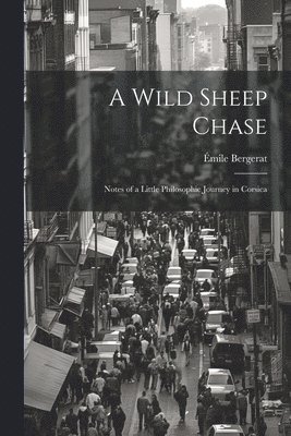 A Wild Sheep Chase 1