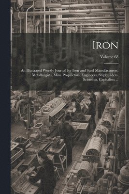 bokomslag Iron