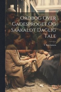 bokomslag Ordbog Over Gadesproget Og Saakaldt Daglig Tale