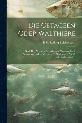 bokomslag Die Cetaceen oder Walthiere