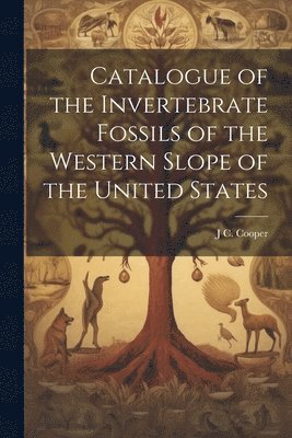 Catalogue of the Invertebrate Fossils of the Western Slope of the United States 1