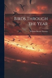 bokomslag Birds Through the Year