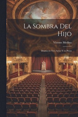 bokomslag sombra del hijo