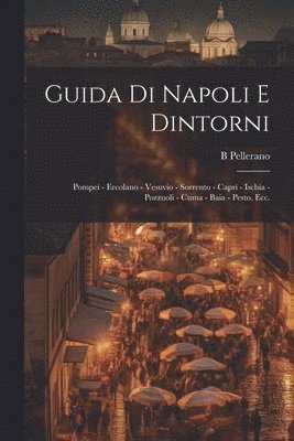 bokomslag Guida di Napoli e dintorni