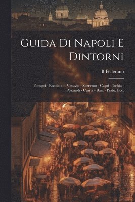 bokomslag Guida di Napoli e dintorni