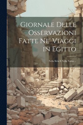 bokomslag Giornale Delle Osservazioni Fatte Ne' Viaggi in Egitto