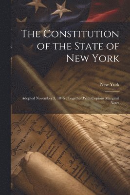 bokomslag The Constitution of the State of New York