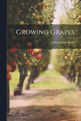 Growing Grapes 1