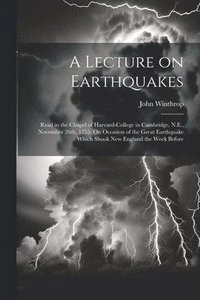 bokomslag A Lecture on Earthquakes