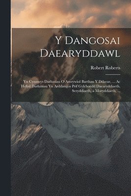 bokomslag Y Dangosai Daearyddawl