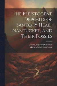 bokomslag The Pleistocene Deposits of Sankoty Head, Nantucket, and Their Fossils